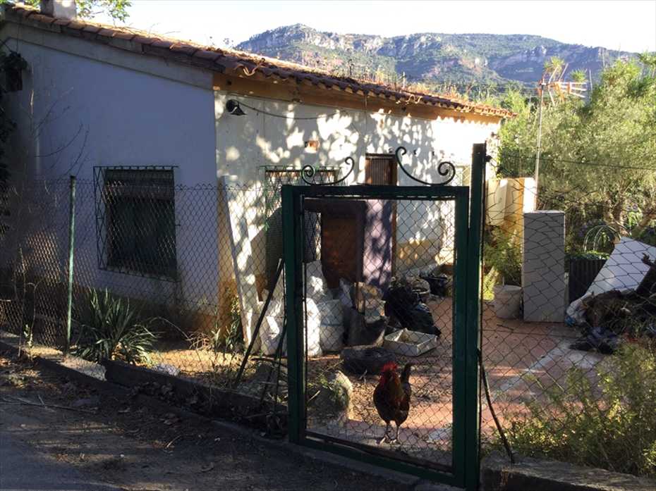 Home in Metric Way